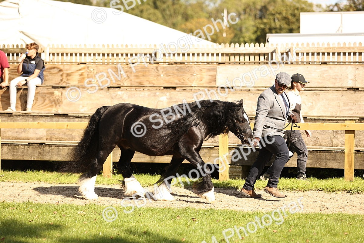 SBM_26169 - S5 - Novice & Newcomers In Hand