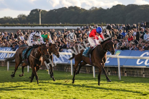 141023-Race 7-Star Ahoy-0694 - Race 7 4.45pm Coral 'Committed To Safer Gambling' Finale Handicap