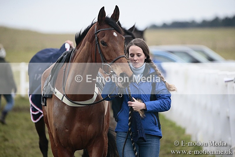 PtP 180218 311 - Combined Services Point-to-Point Larkhill 18/02/18