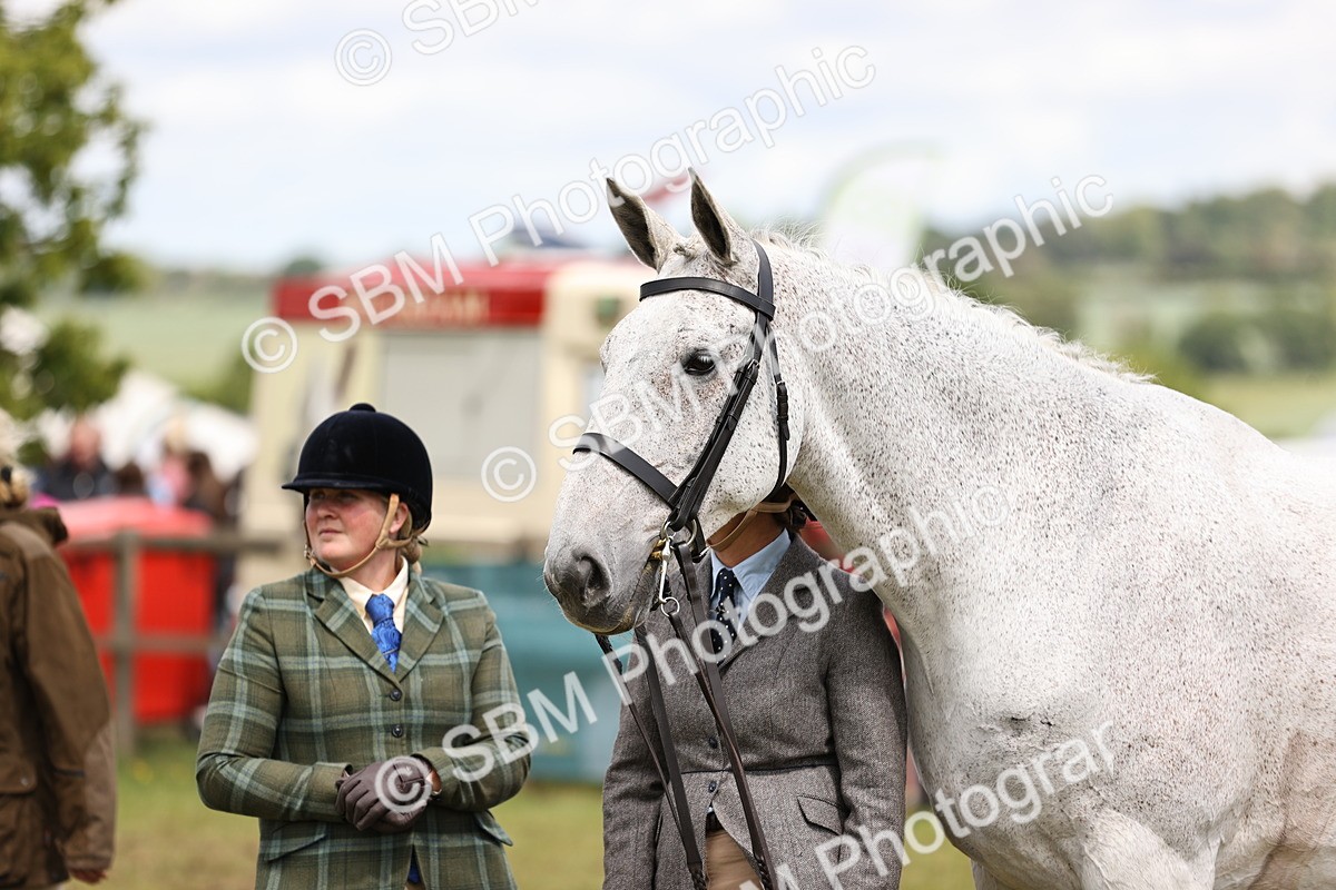 SBM_14729 - Class 88-89 - LIHS BSHA Rising Star of Ridden Hunter Type