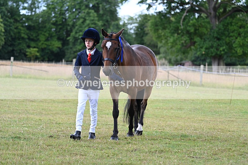 WJ7_7295 - Champs