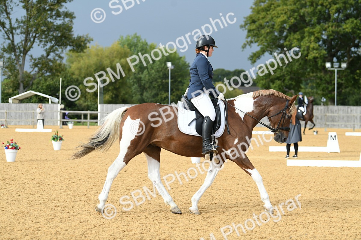 SBM_11039 - D28 Elementary Taster Elementary 42
