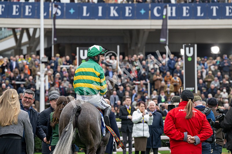 100326-Race 2-Saratoga-7701 - 10th March