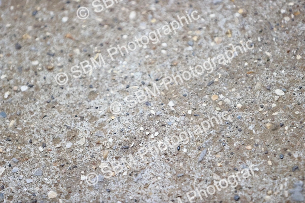 SBM_002656 - Class 16-23 - AM5-FEI GP