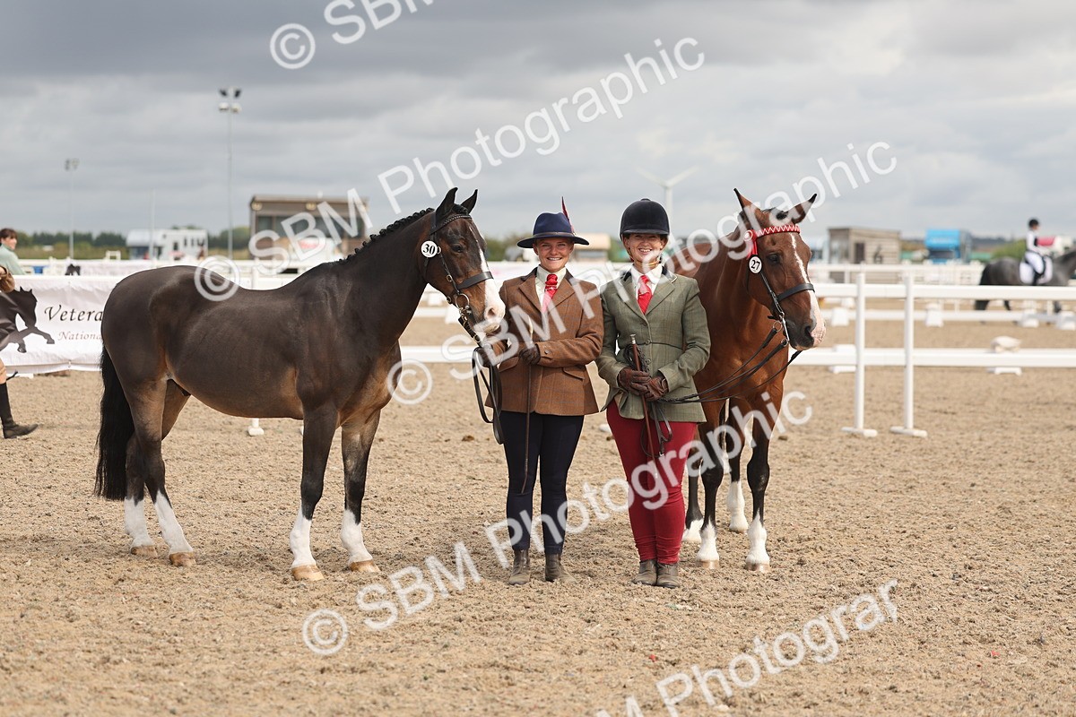 SBM_04465 - Class 18 - Handsomest Gelding (IH or Ridden)