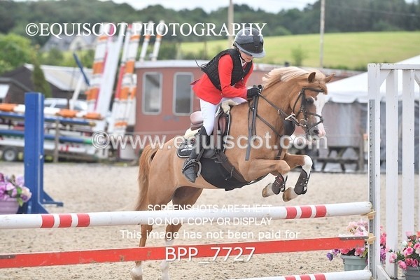 BPP_7727 - CLASS 3 Pony British Novice / 0.80m Open