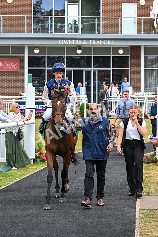 170625-Race 1-Royal Fixation-4420 - Race 1