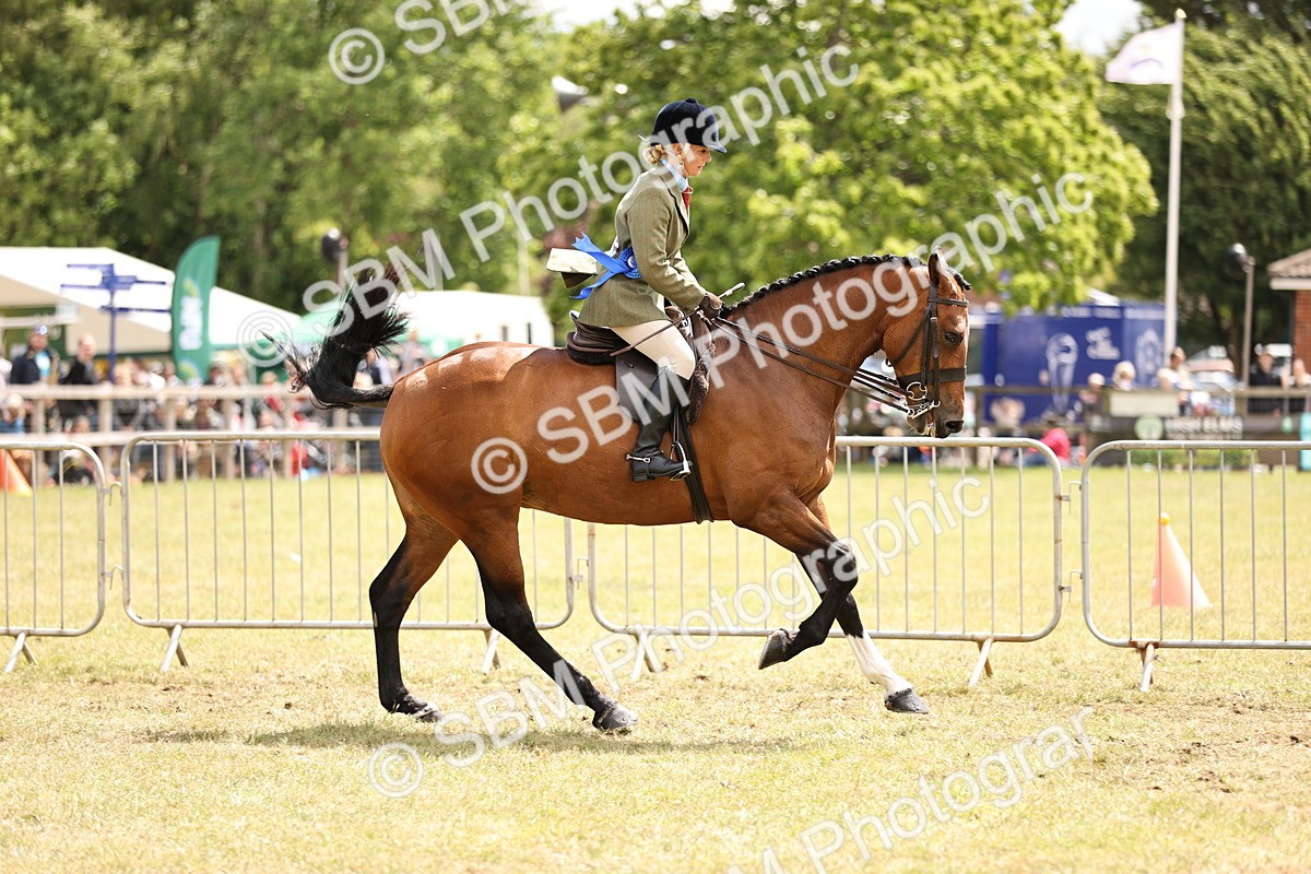 SBM_14802 - Class 88-89 - LIHS BSHA Rising Star of Ridden Hunter Type