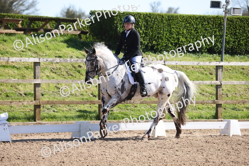 20260318-0480 - Class 5 - Novice 2