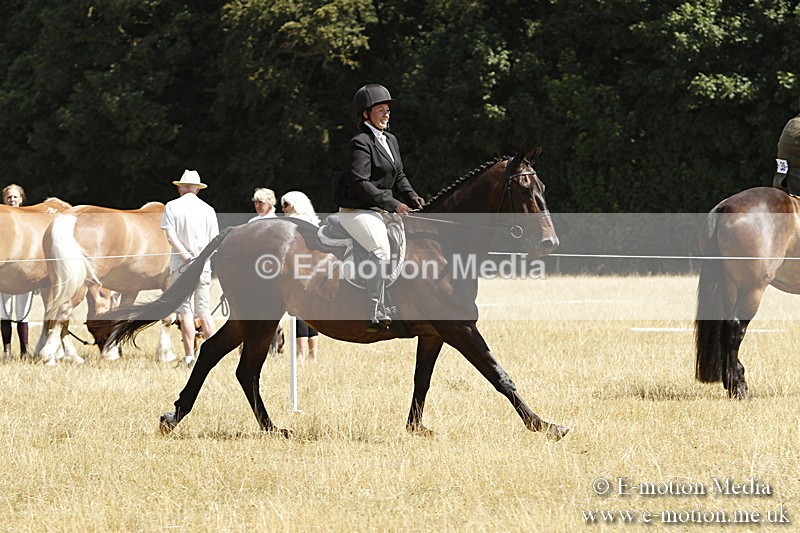 _BS_0799 - BVRC Show 2018 Ring 1