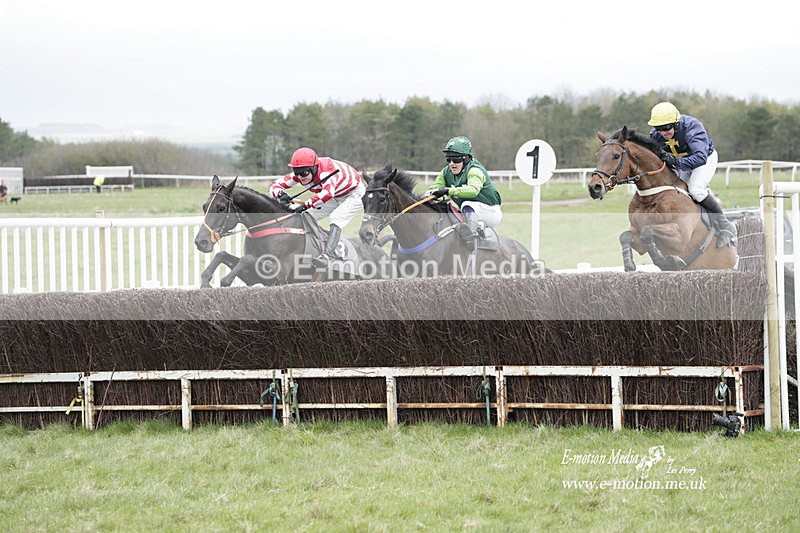 PtP 260323 0487 - New Forest Hounds Point-to-Point Larkhill 26/03/23