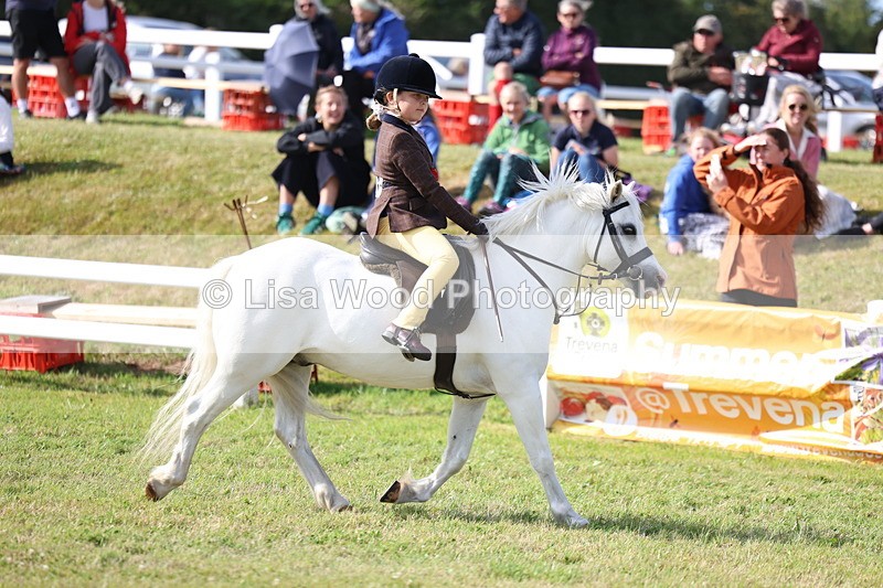 3E7A3828 - Supreme Championship