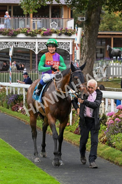 080924-Race 5-Quinault-9365 - Race 5 4.00pm Starman At Tally Ho Stud Garrowby Stakes