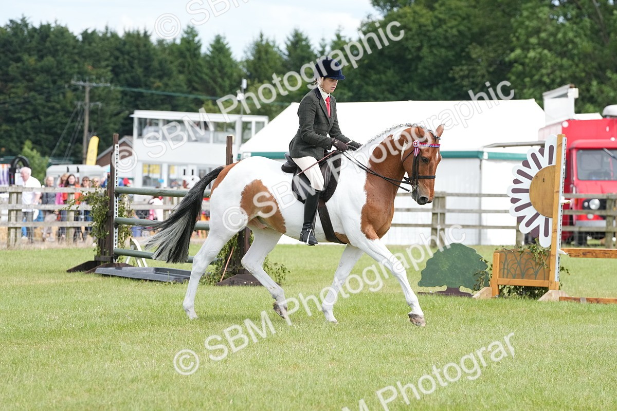 SBM_17566 - Class 107-108 - LIHS BSPS Performance Coloured Horse Pony