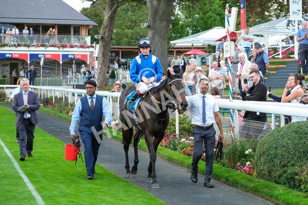 080925-Race 5-Elmonjed-9479 - Race 5 4.30pm Sky Bet Starman Garrowby Stakes