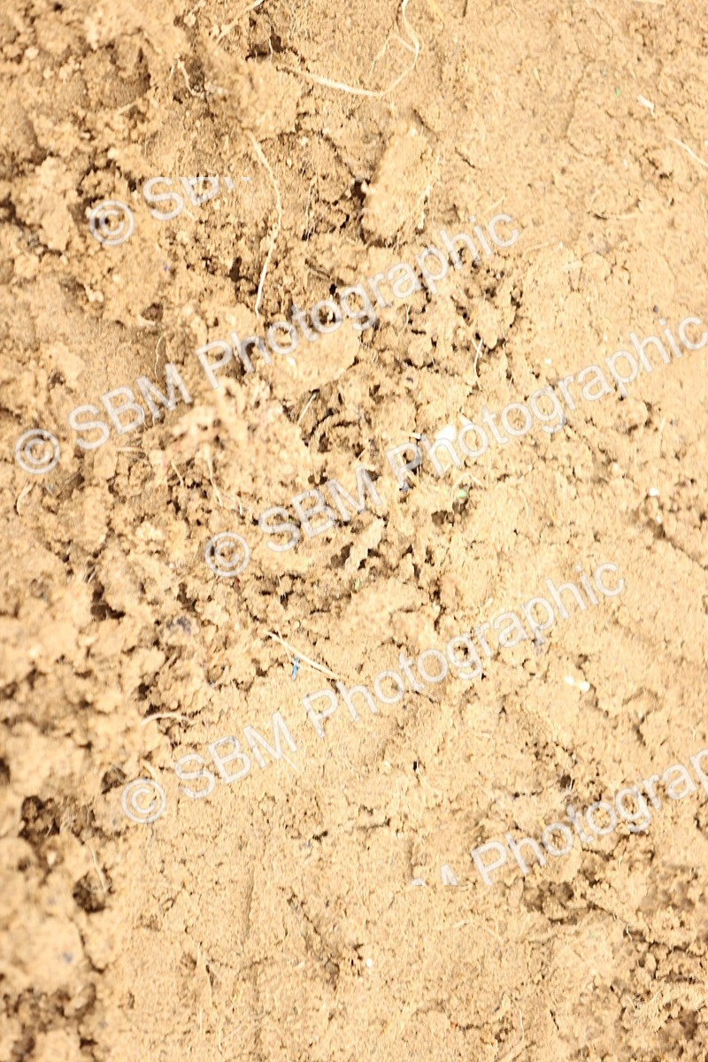 SBM_004126 - Class 7-10 - Novice 2-Elementary 2