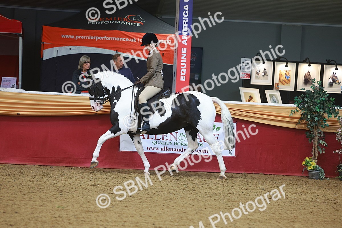 SBM_10566 - Class 103 - HOYS Veteran Qualifier - Ridden Pre Vet
