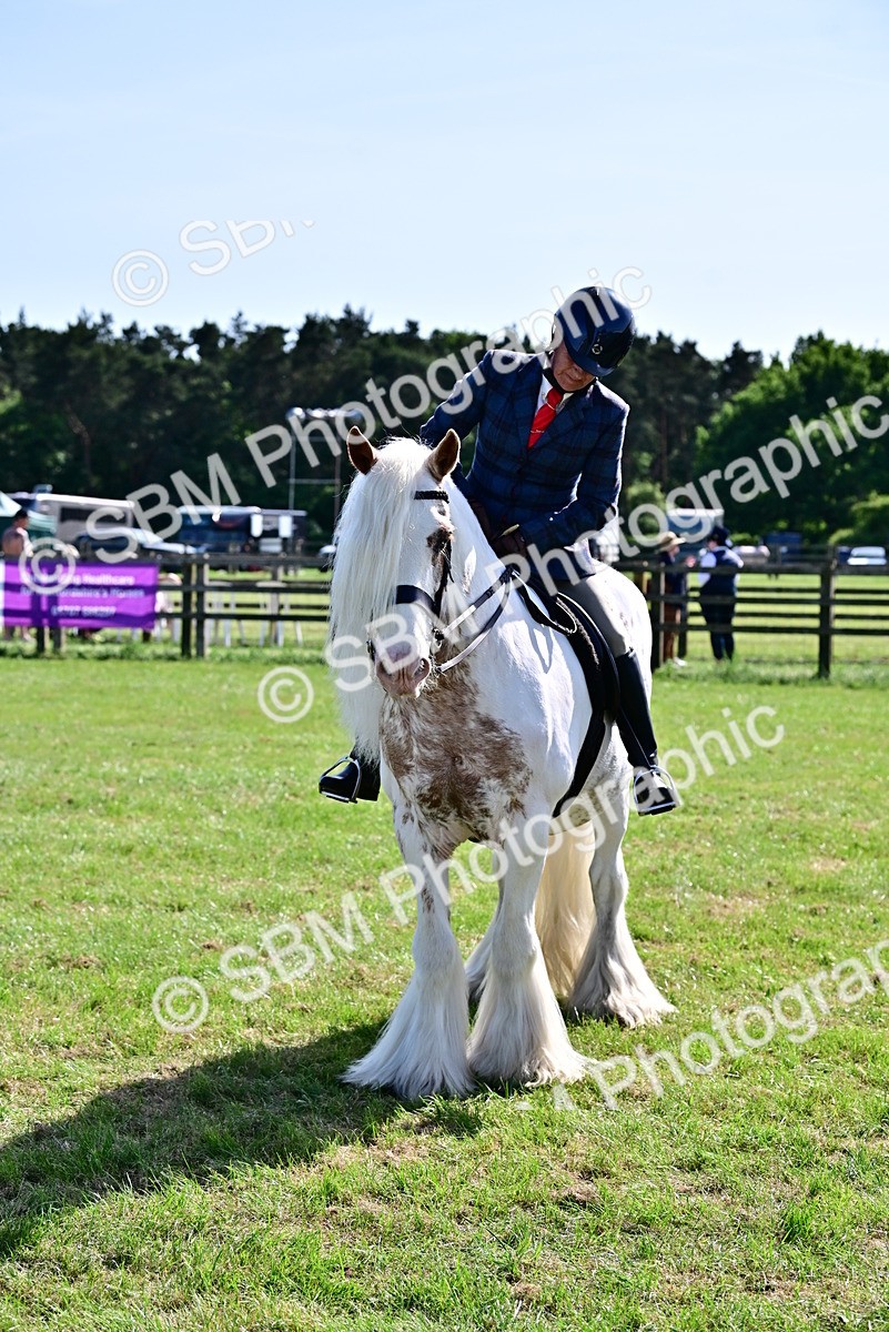 SBM_09414 - Class 63-65 - Traditional Gypsy Cobs In Hand & Ridden
