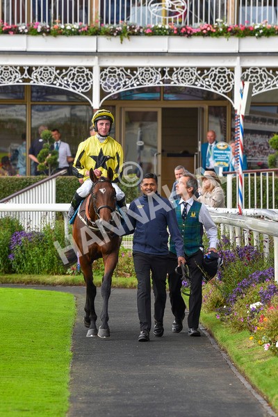 230923-Race 3-Politico-6305 - Race 3 3.10pm Happy 60th Birthday Angela Clark Nursery Handicap