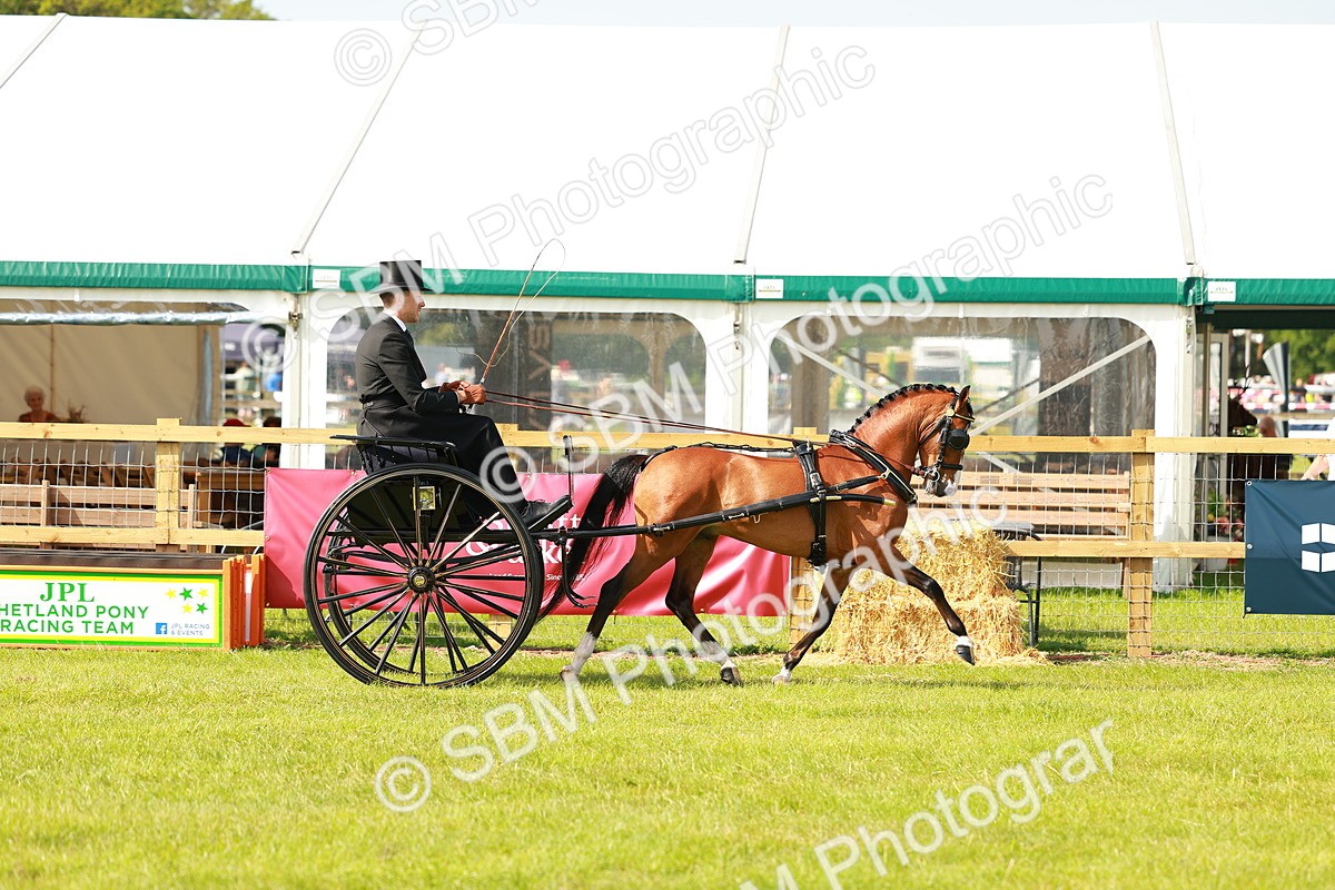 SBM_02555 - Class 2-4 - HOYS Private Driving