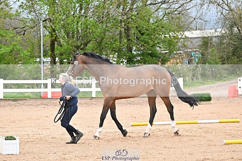 250423-122419-00269 - 12 to 1pm