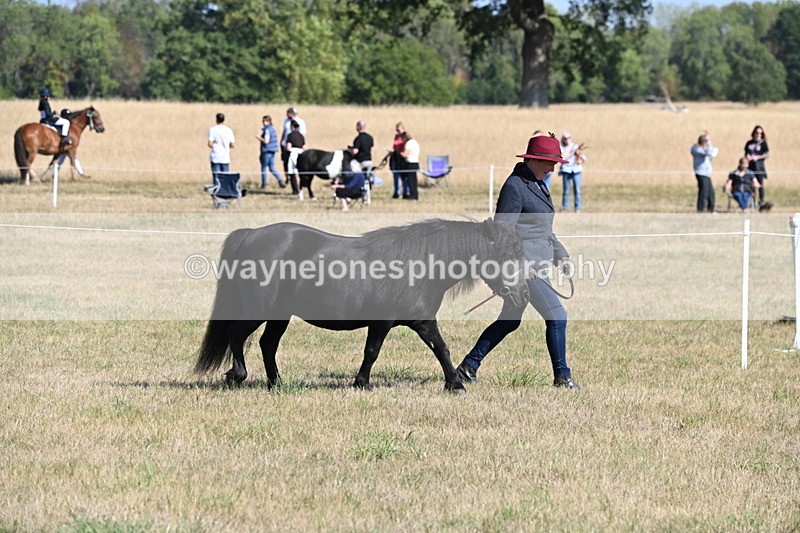 WJ6_4184 - Class 16 Condition & Turn Out