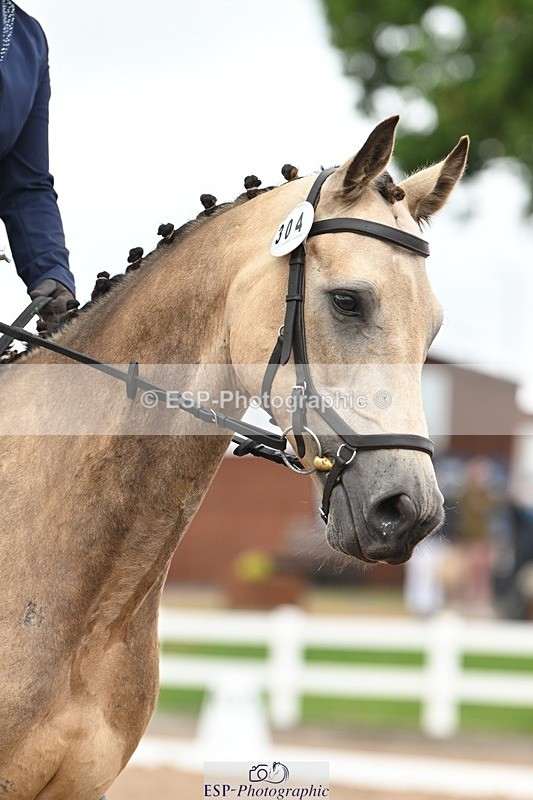 250705-175527-02665 - N1 Section BDNOV1 1350 to 15.28