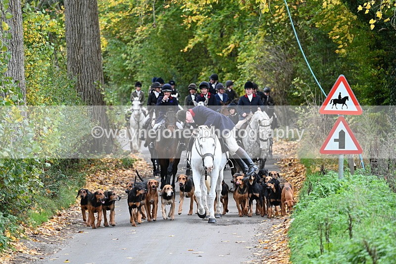 WJ7_7111 - Walk Home..