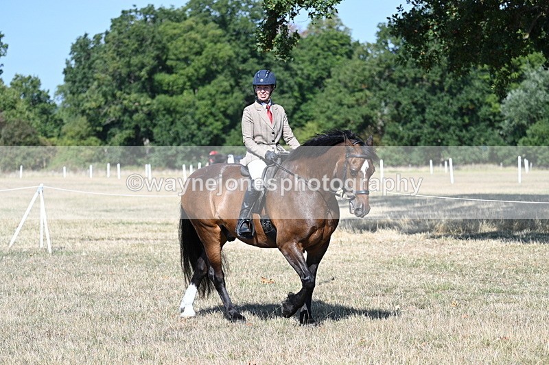 WJ7_3507 - Class 9 Mountain & Moorland Ridden