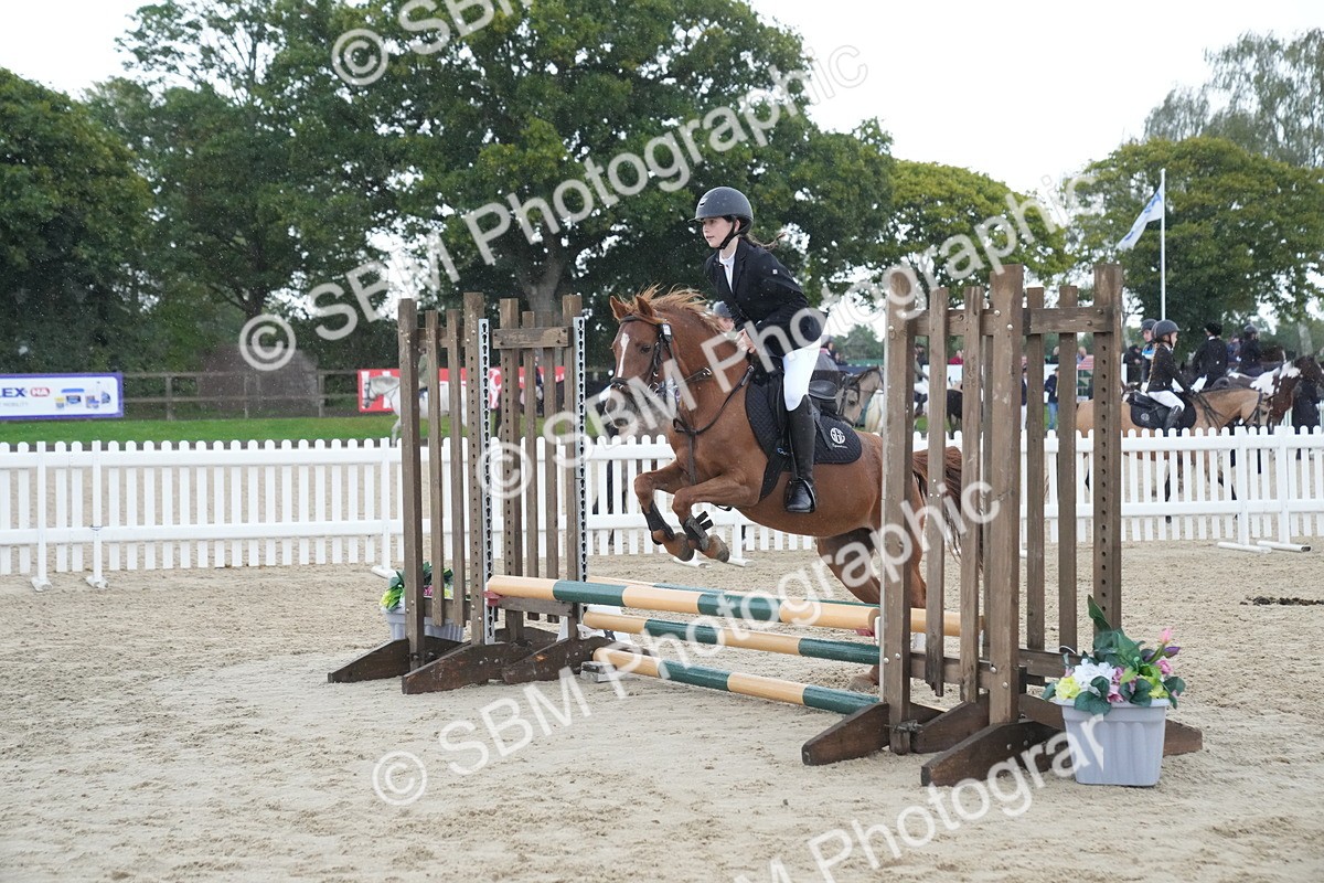 SBM_01561 - J54 - Clear Round 50cm