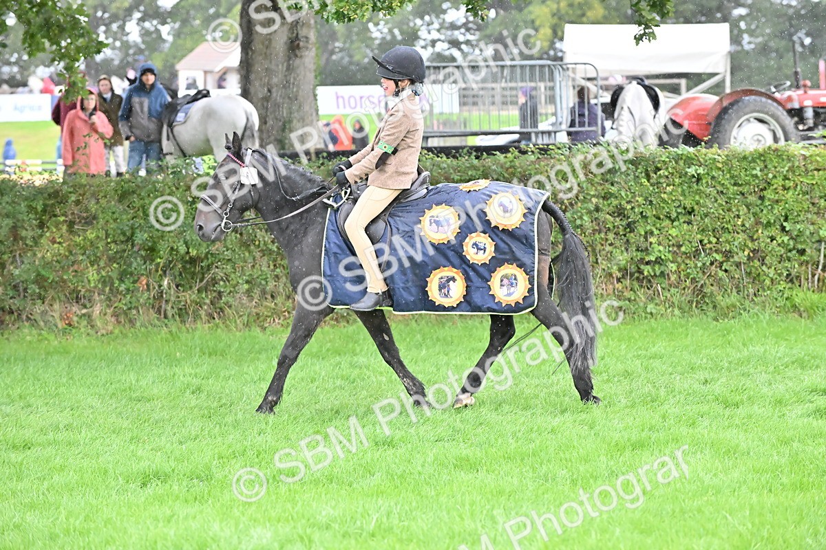 SBM_42991 - S12 - Family Horse & Pony