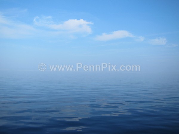  - Recent Images - by Matt Pennington