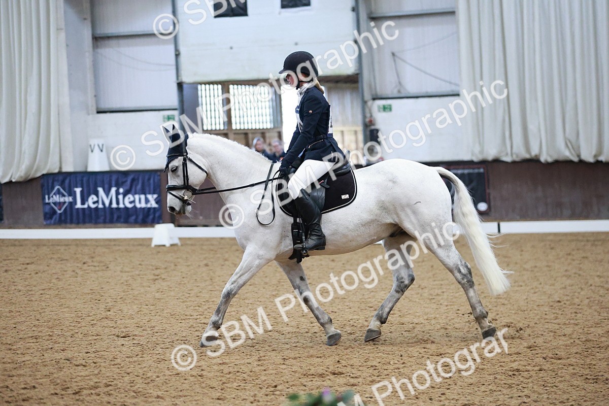 SBM_004601 - Ring 3 - International -  Working Hunter Classes 23-2-25
