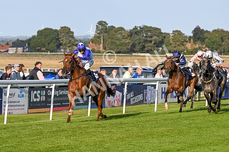 180924-Race 8-Inappropriate-5396 - Race 8