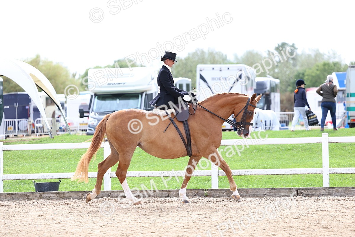 SBM_03382 - Class 24 - SSA Concours d'elegance (any age)