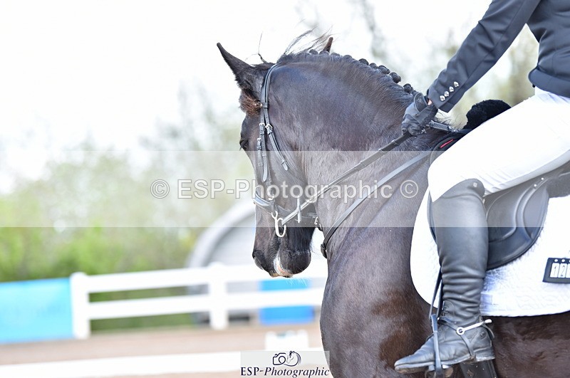 230511A-100653-00202 - BD Cls 2 Prelim 17A