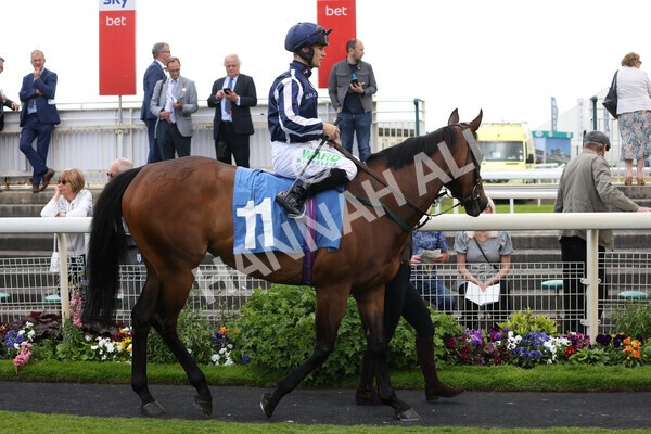 yr10062022r5-7 - Race 5 4.05pm Irish Thoroughbred Marketing Stakes