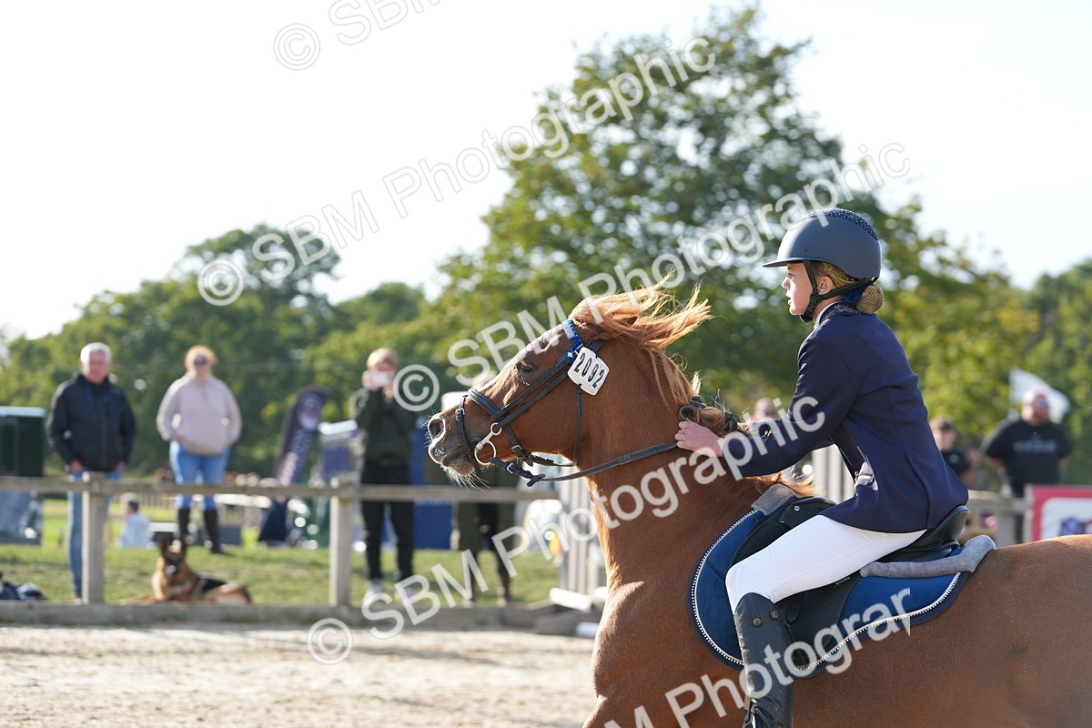 SBM_51161 - J8 - Junior Pony 65cm Championship