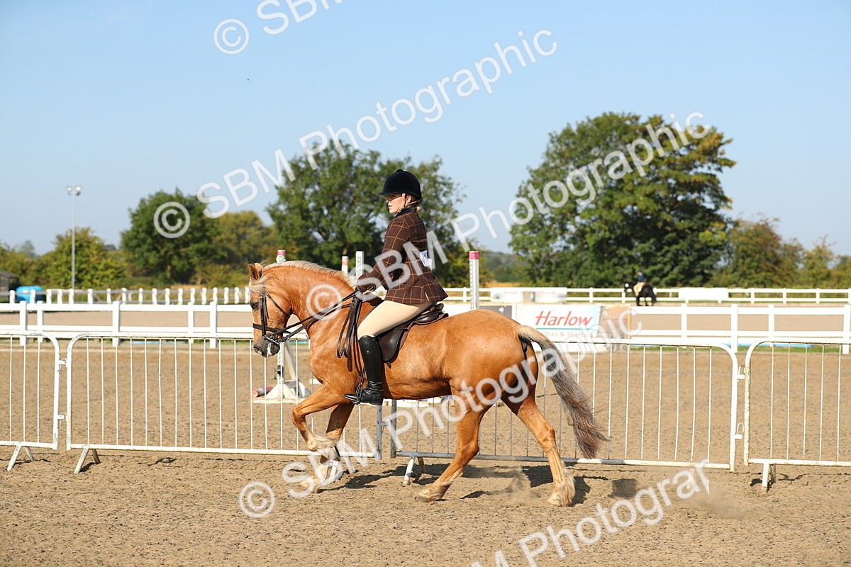 SBM_01201 - Class 42 Ridden Veteran