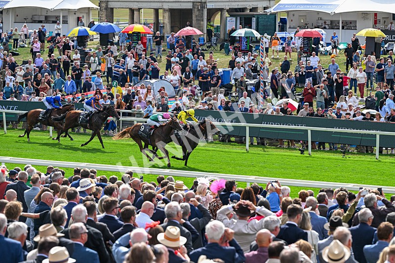 190826-Race 4-Item-1477 - Race 4 15.35pm Juddmonte International Stakes