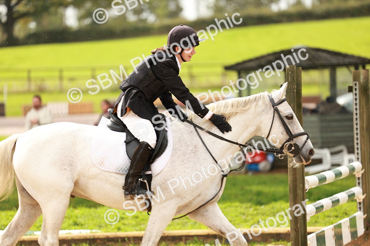 SBM_38391 - Supreme Championship 80cm 85cm