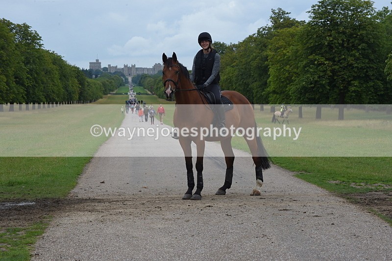 TT3_9561 - Time at Crossing 11:28 to 13:16