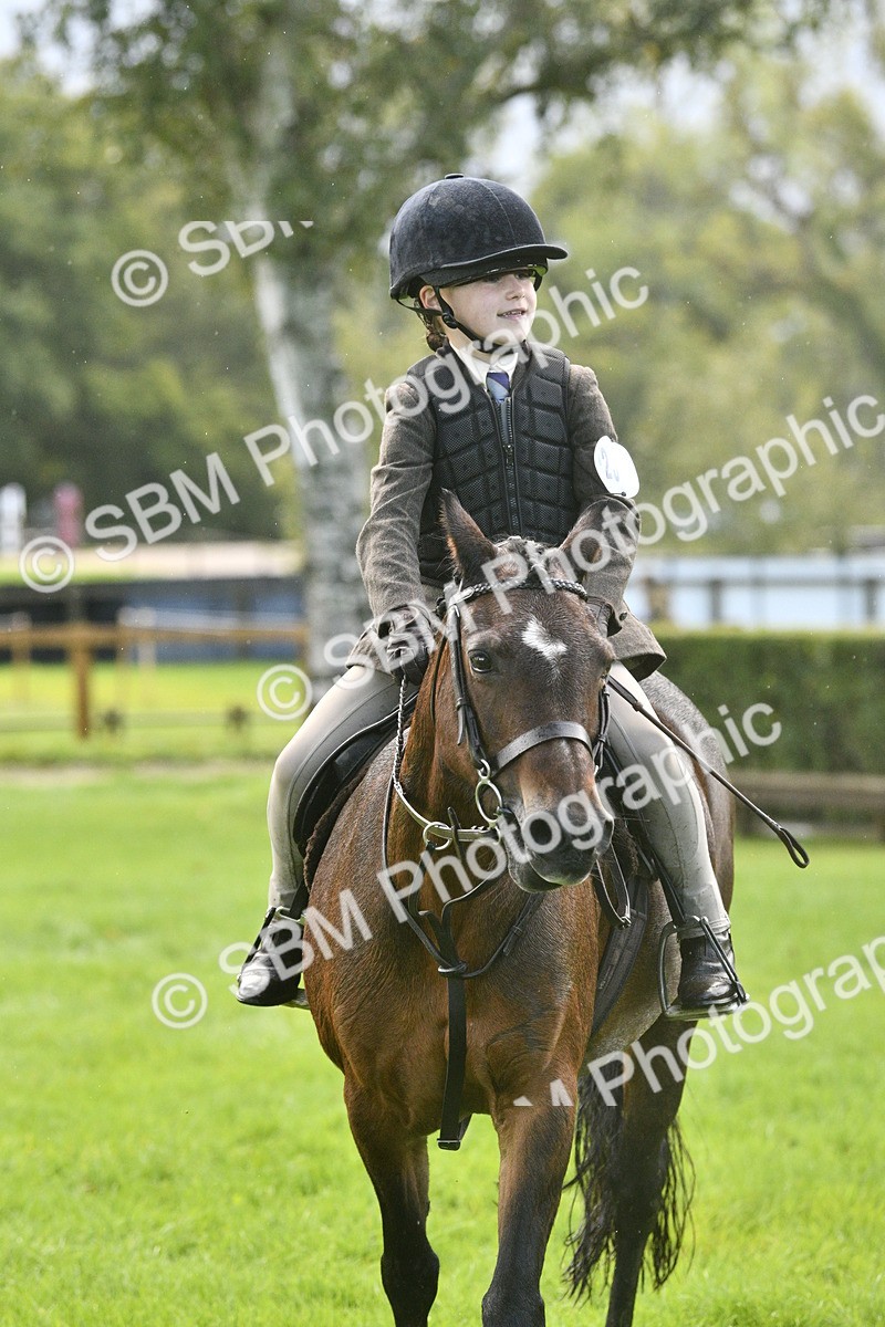 SBM_37187 - S31 - Novice & Newcomer Working Hunter Pony
