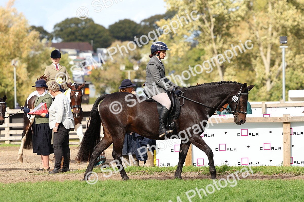 SBM_47586 - S28 - Veteran Ridden