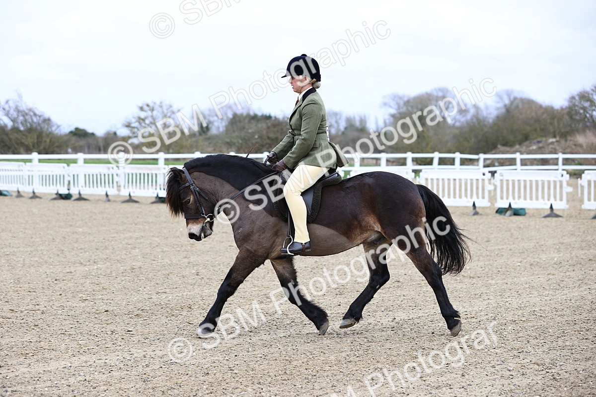 SBM_006805 - Class 29 - 30 - M&M Pure Novice Small-Large Breeds