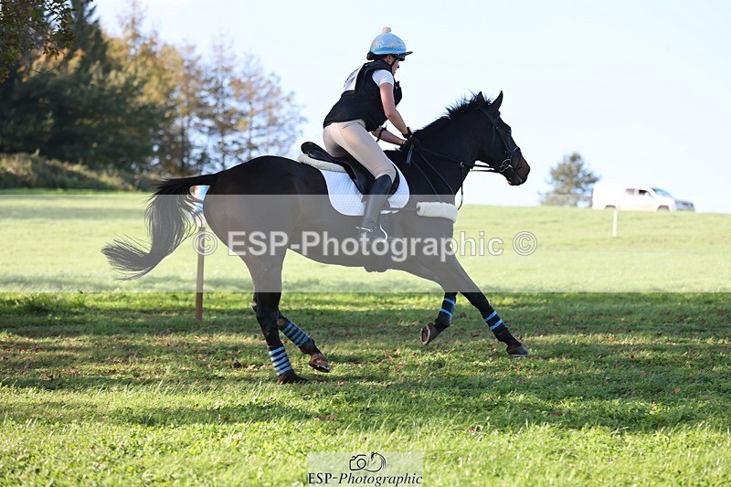 241026-124144-13720 - 444-Tatiana.Wharton-NO.TOMMY.NO