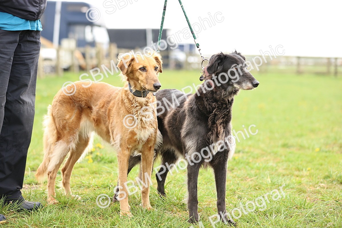 SBM_000255 - Class 3 - P4