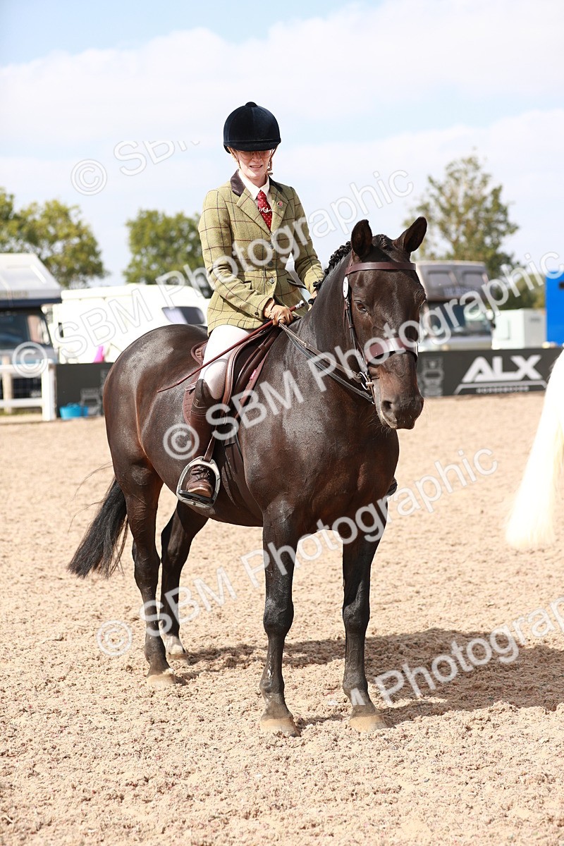 SBM_14878 - Class 212 Ridden Hunter - Small