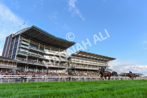 230923-Race 6-September Power-3421 - Race 6 4.55pm New To York Rio Brazilian Handicap