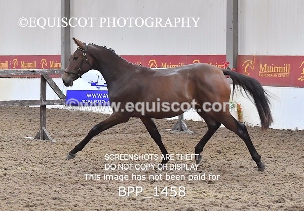 BPP_1458 - MORNING 9AM - 12PM